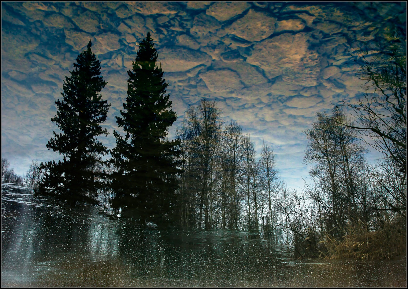 Без названия