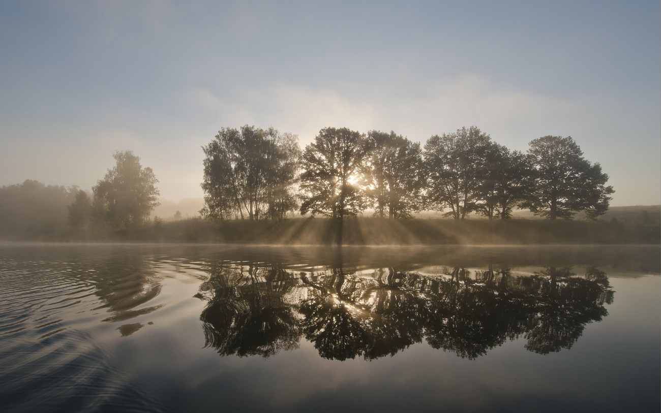 Настигнутые рассветом