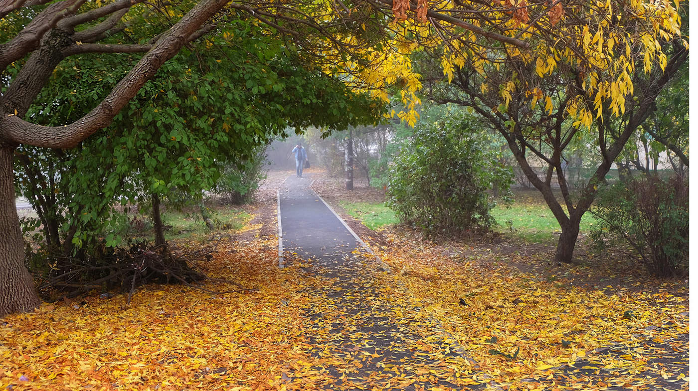 Осенний этюд-2