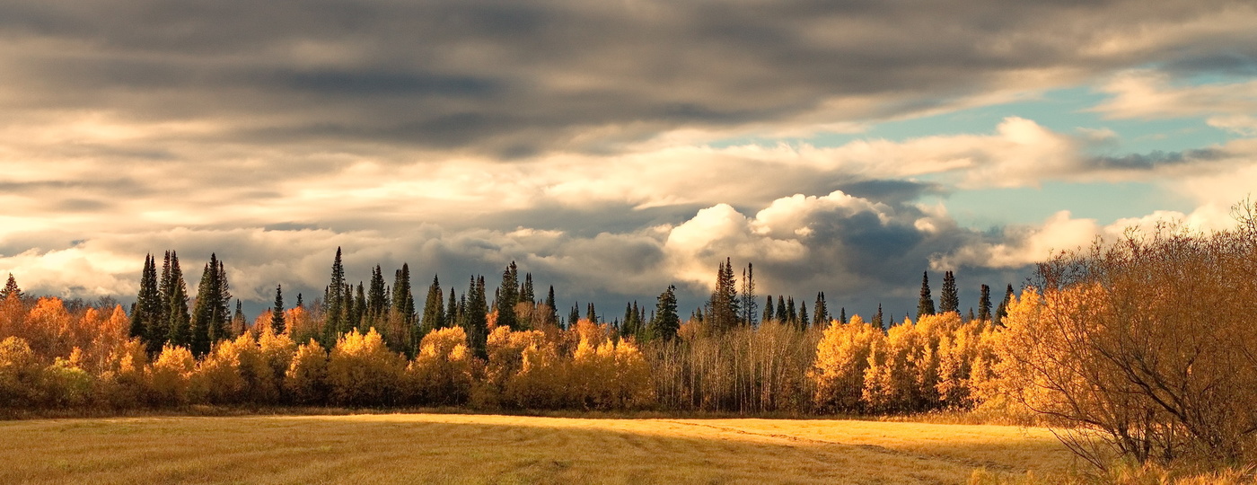 ВЕЧЕРНИЙ СВЕТ**