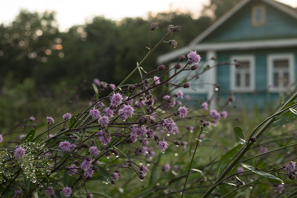 Деревенька