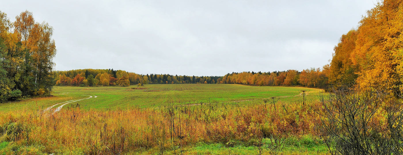 "Люблю я пышное природы увяданье"