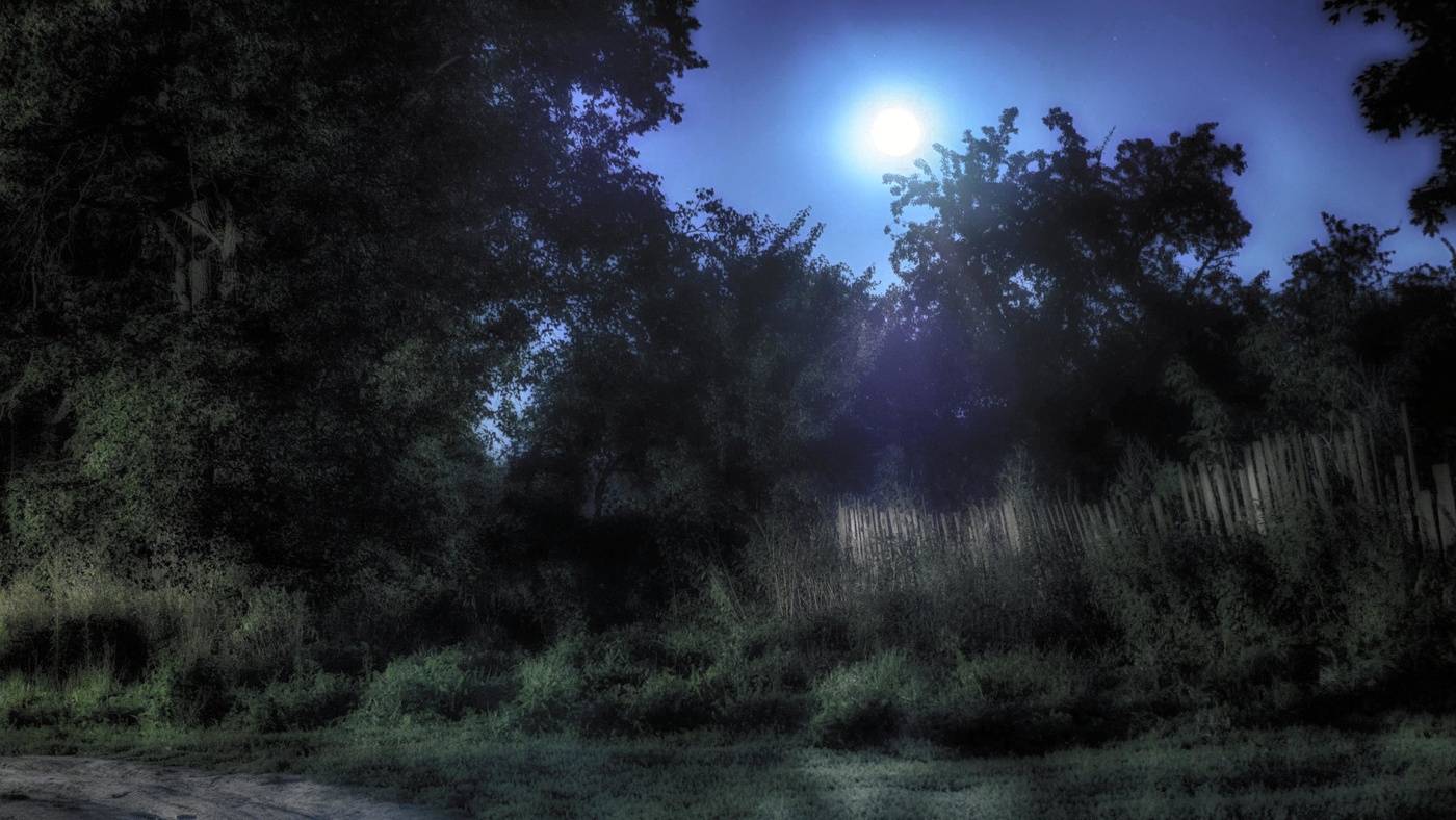 Лунная ночь.