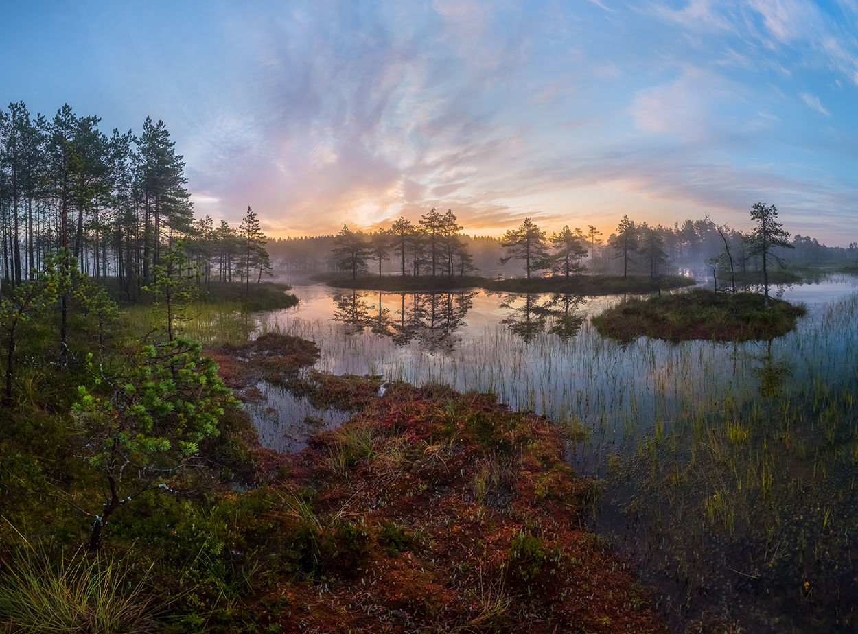 Природа сама художник