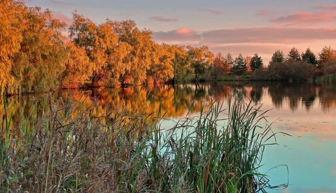 Последние дни красочной осени