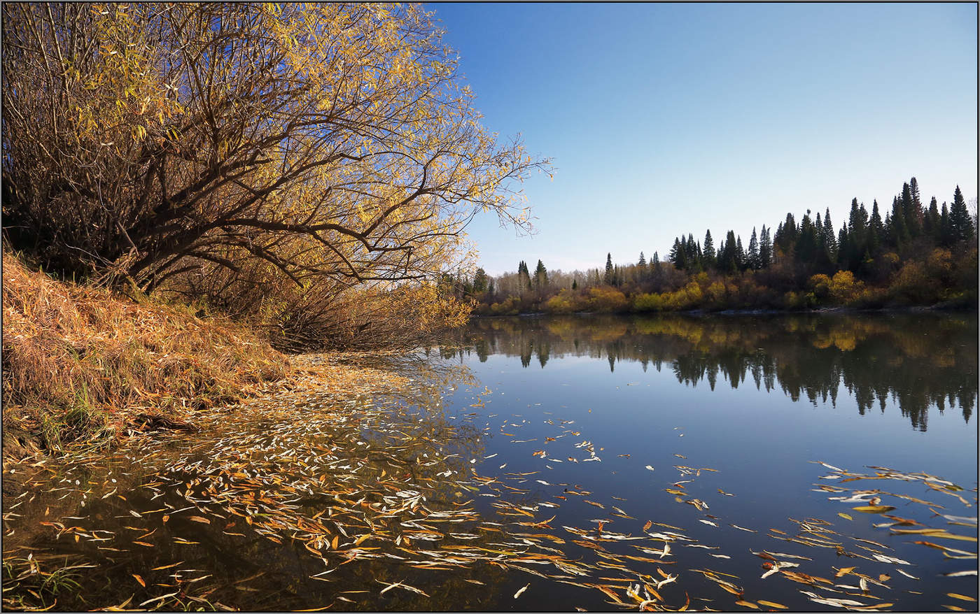 Осенние мотивы...