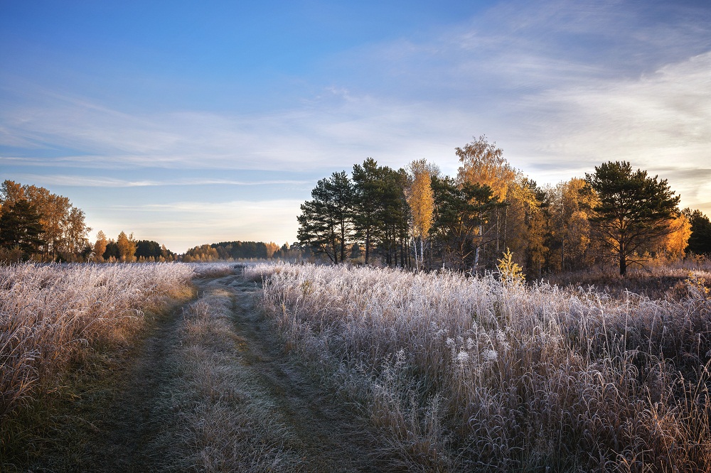 Осенним утром.