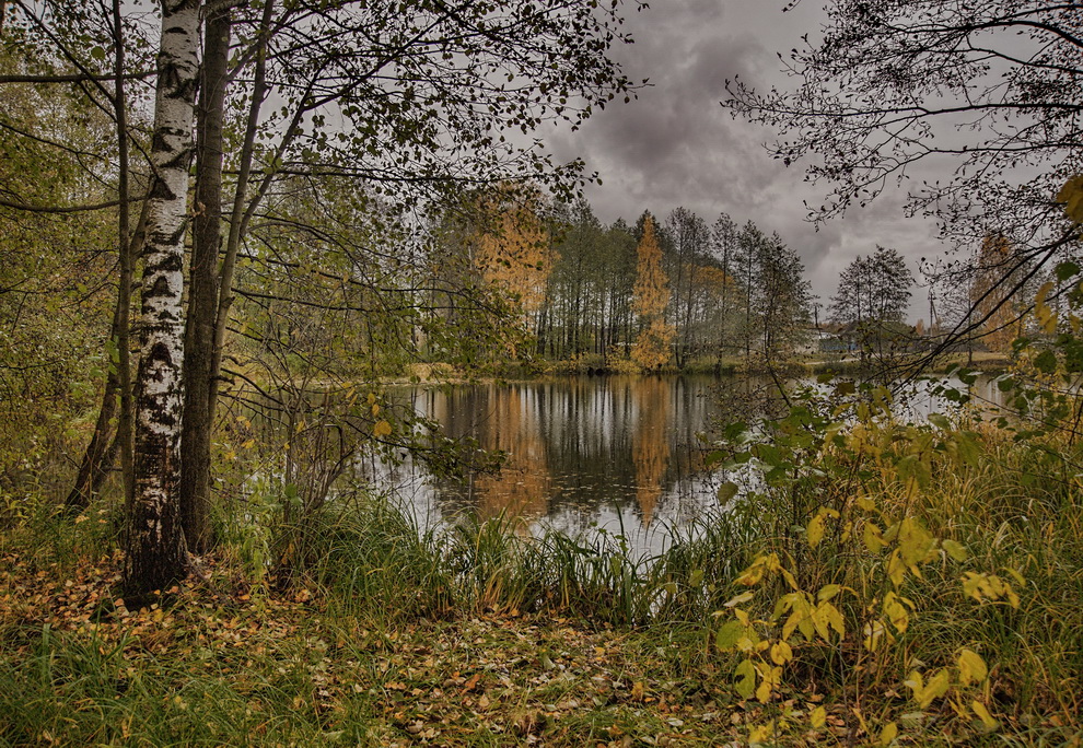 Прозрачная осень