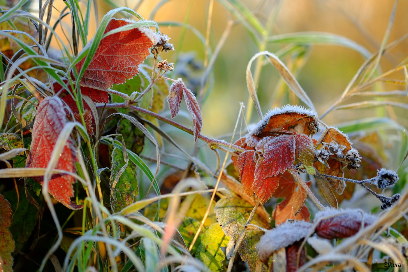 Природа в красках.