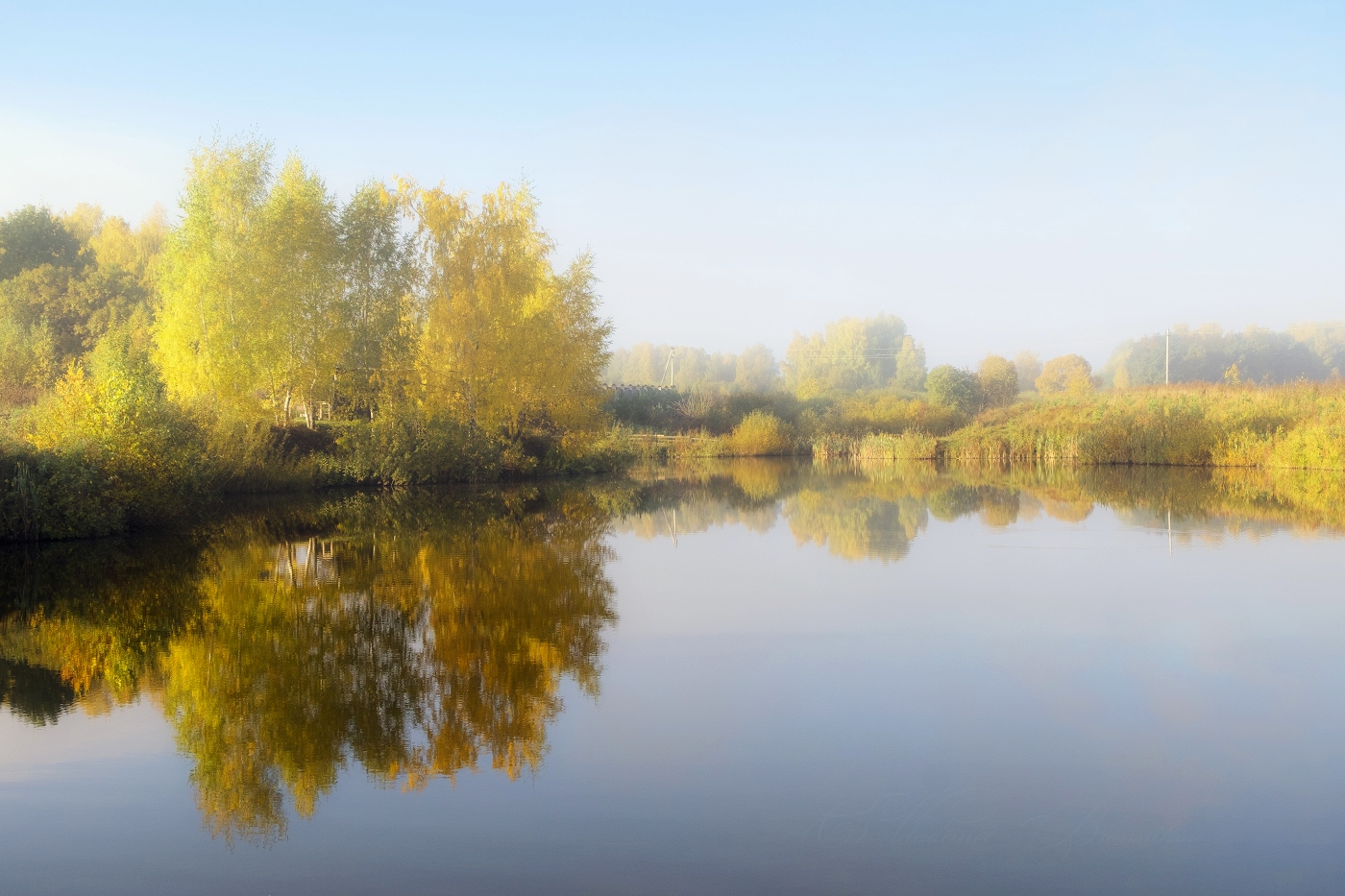 Золото на голубом