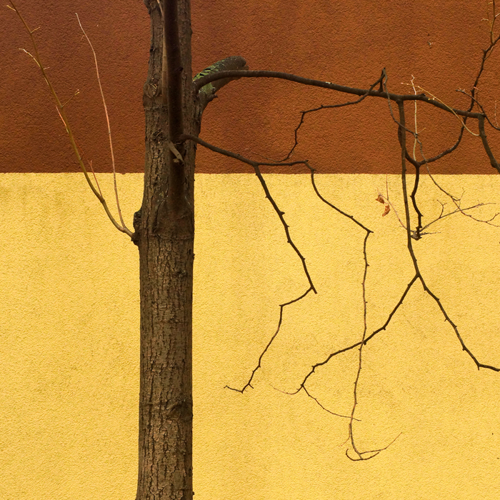 Времена года