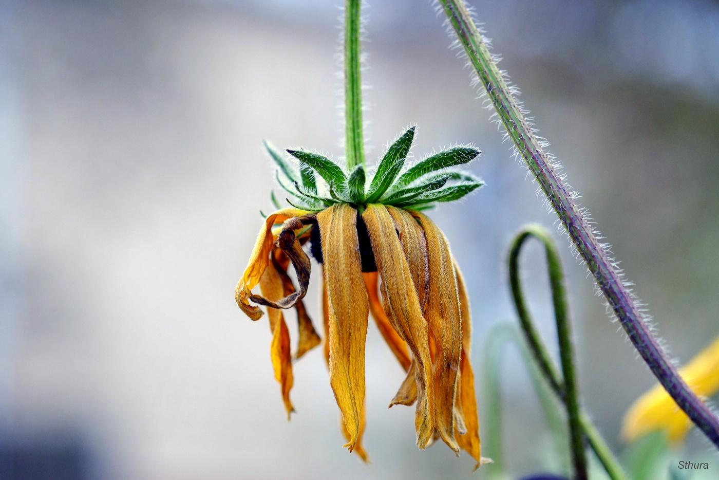 Осенняя зарисовка.