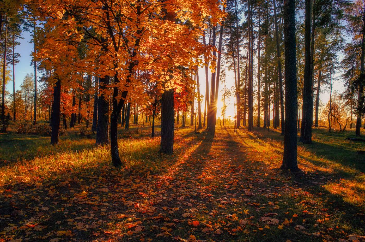 осенние лучи