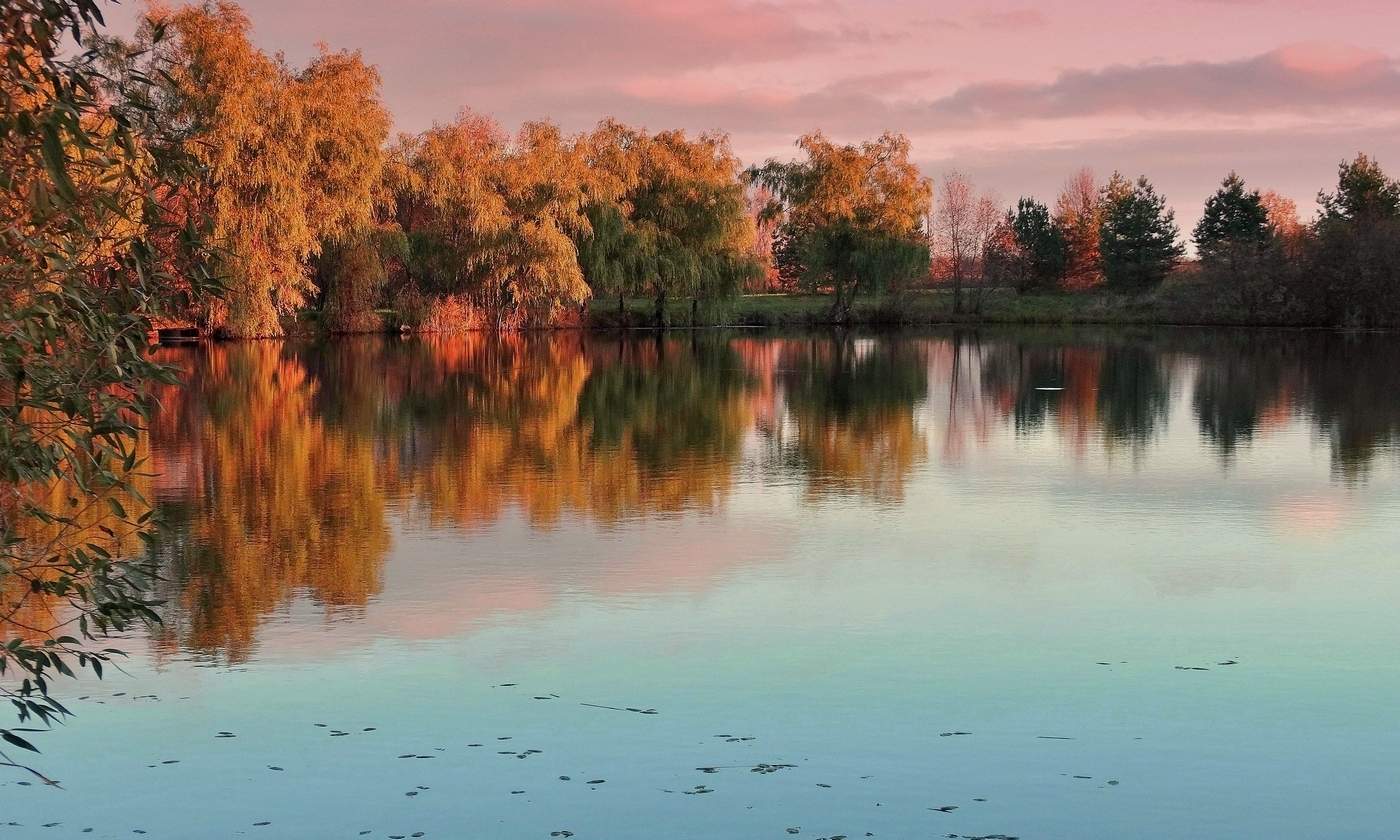 Последние октябрьские деньки