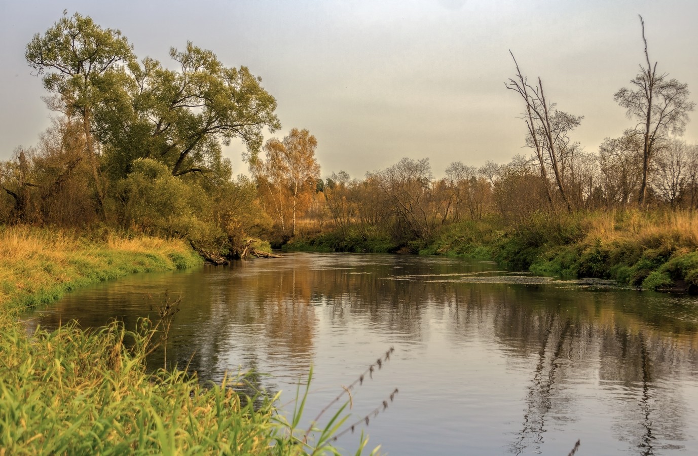 Речка истра