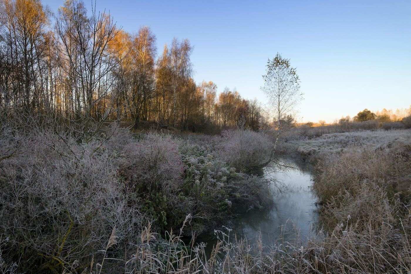 Мягкий свет холодного утра