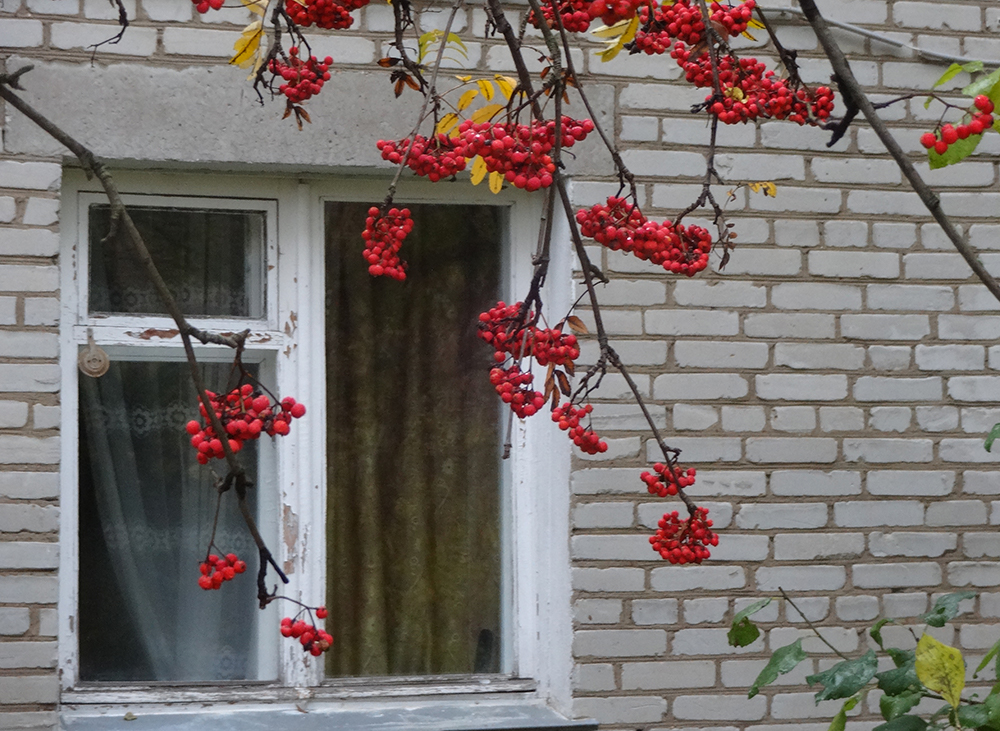 Готовность к зиме