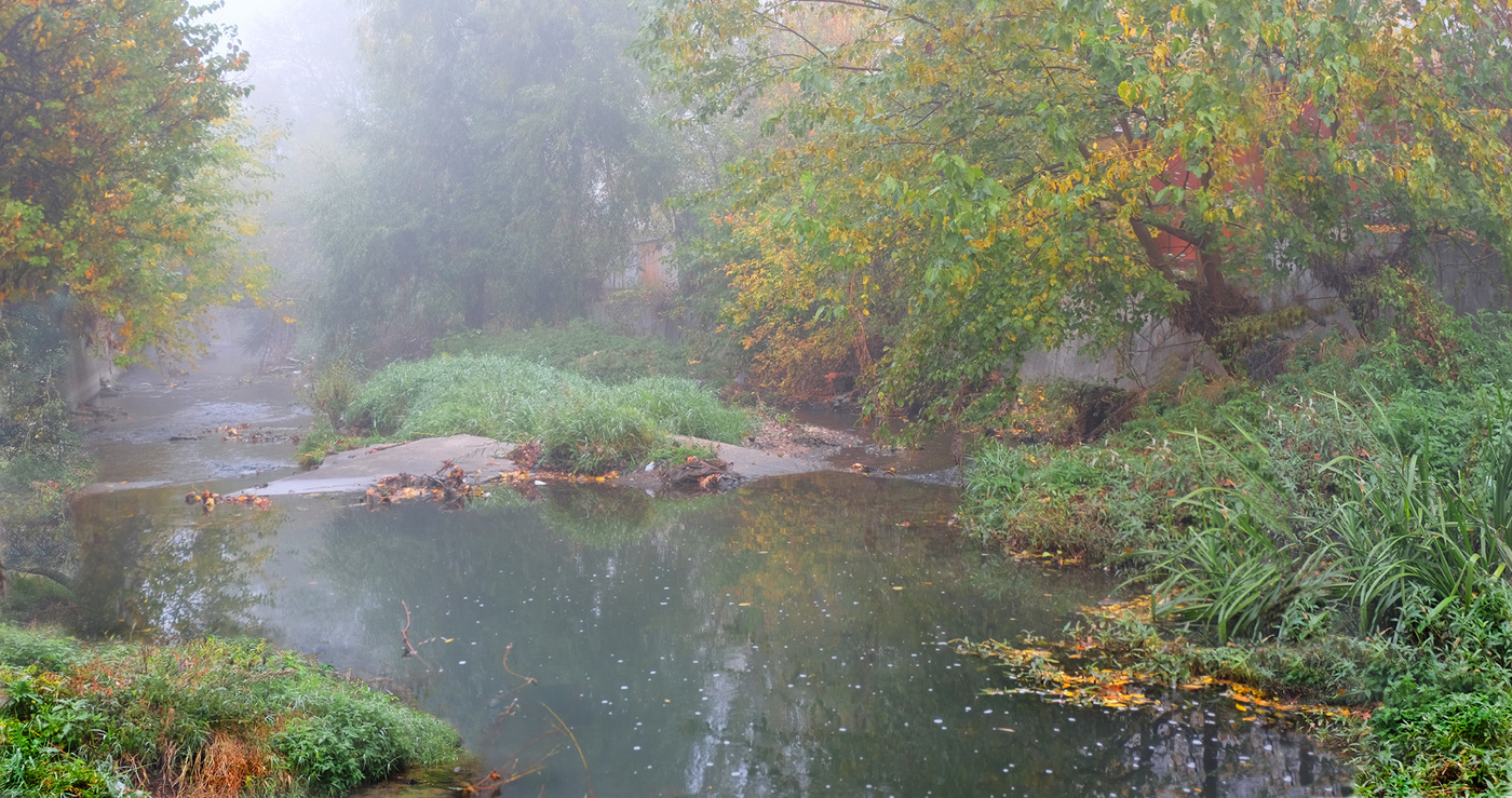 (Ёжик) в тумане.