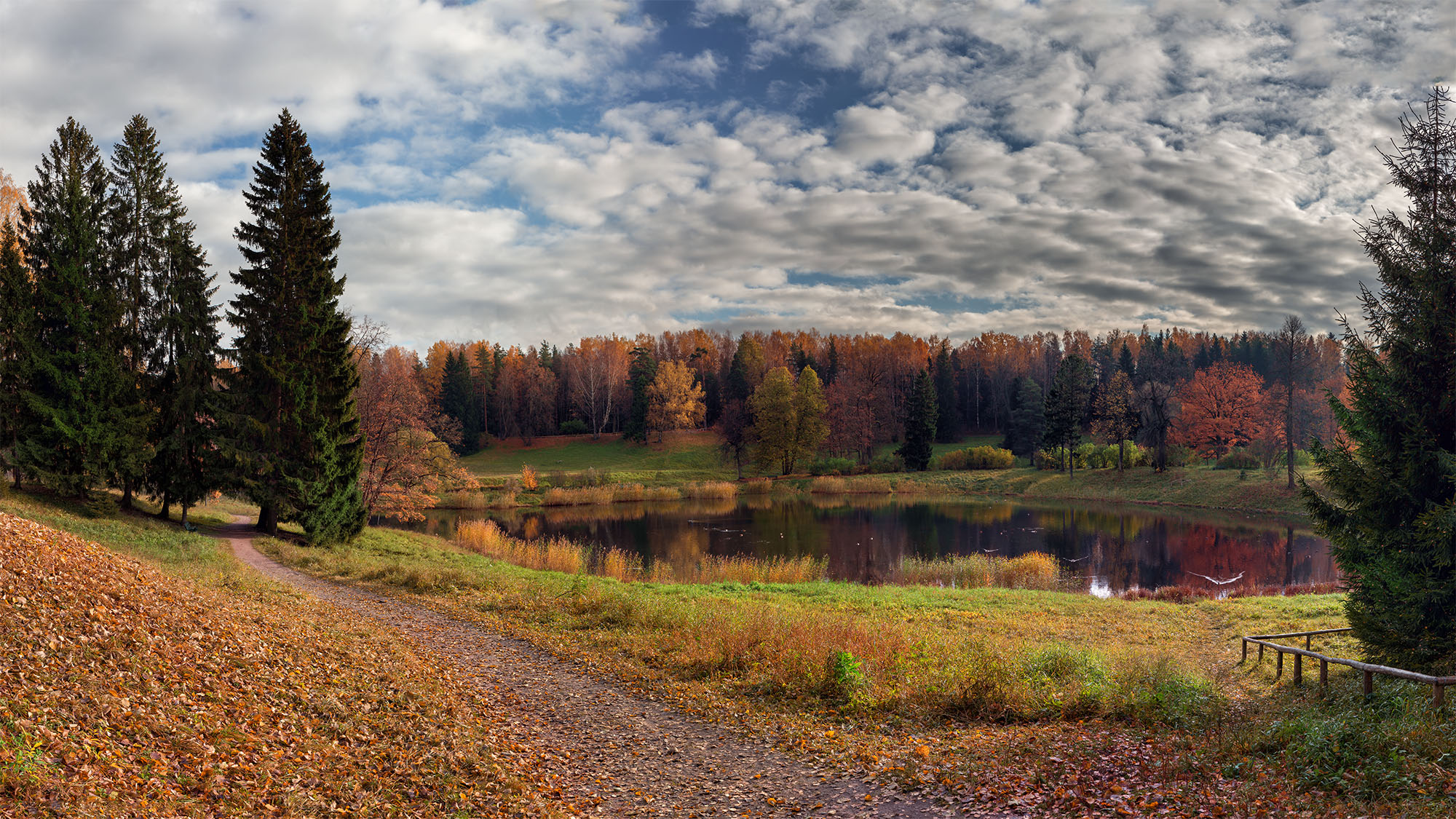 Павловск....