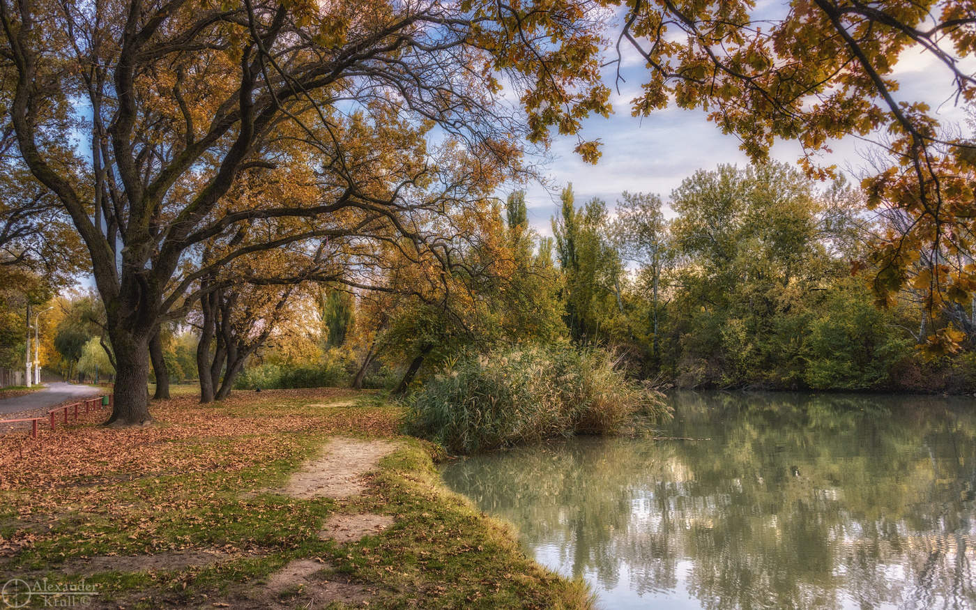 Осенняя открытка...