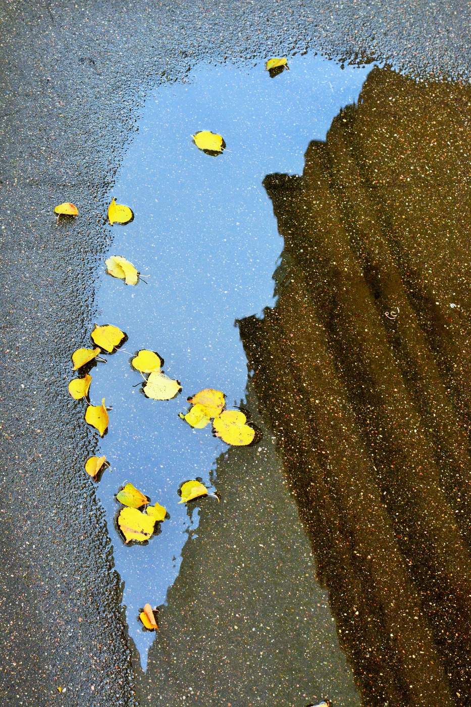 Осенний ноктюрн ...