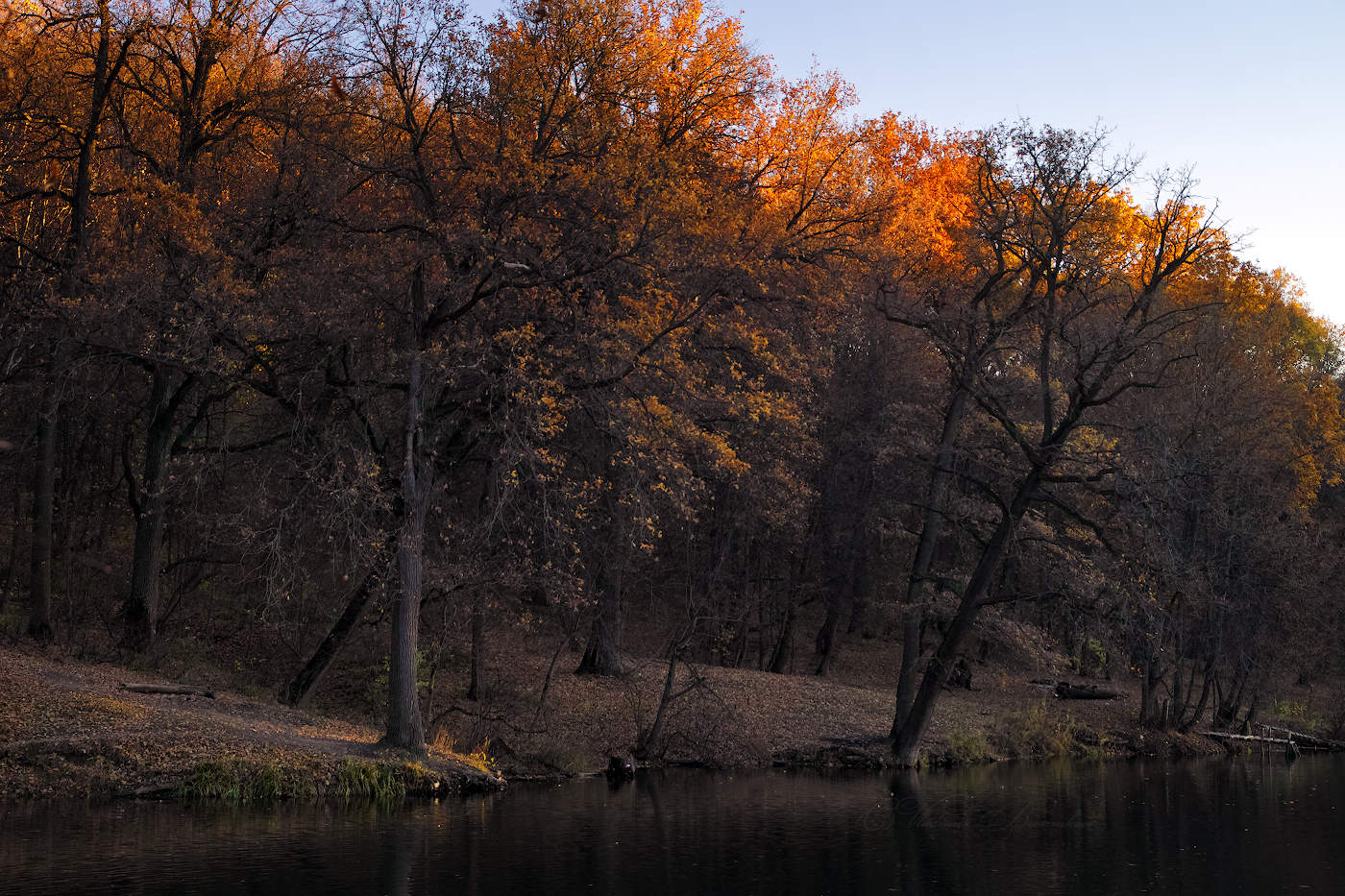 Краски осени