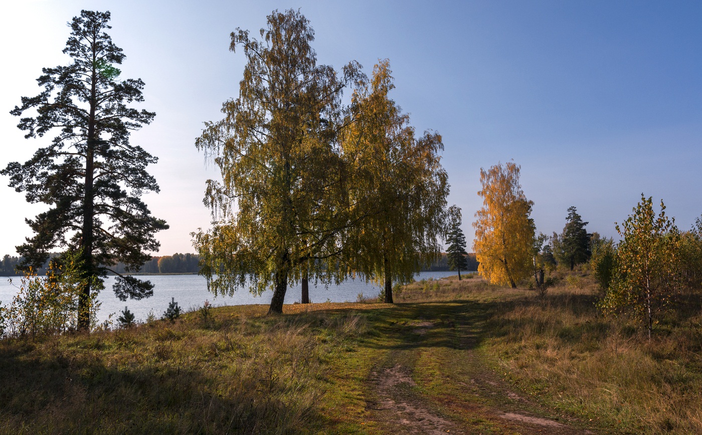 Осенний свет.