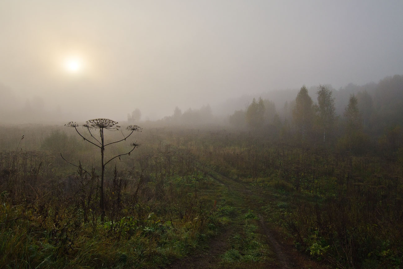 Унылая пора