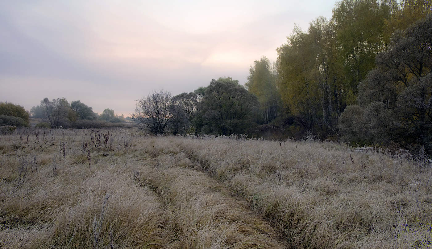 Кудрявая проселочная дорога