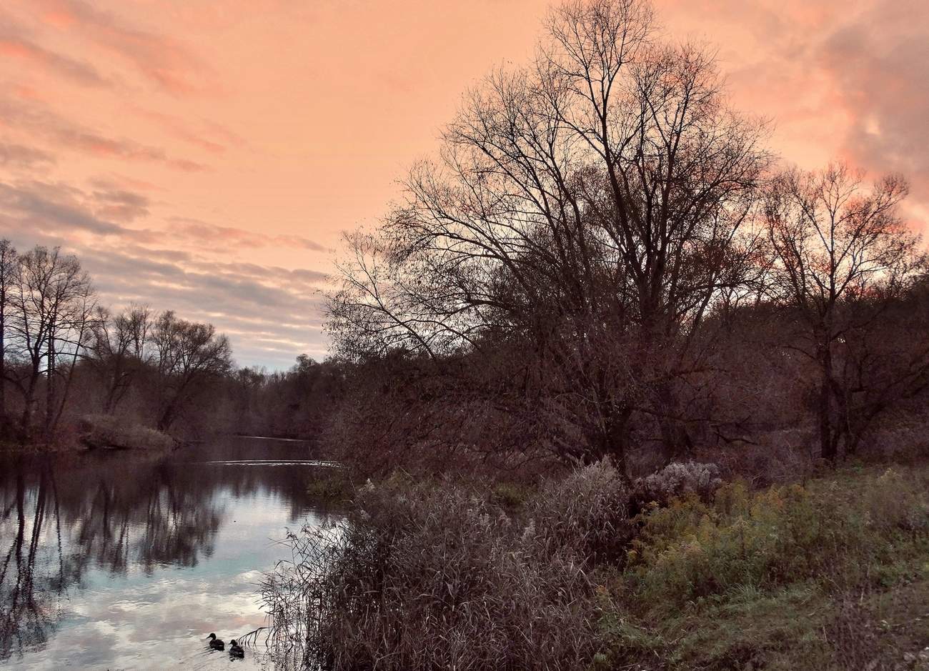 Близится поздняя осень