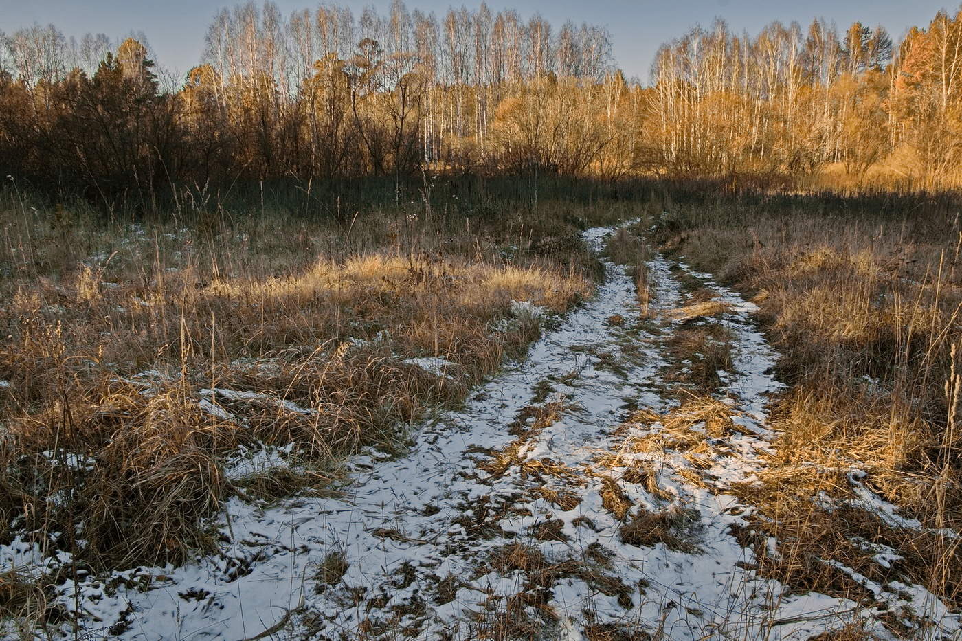 *Осенний полдень**