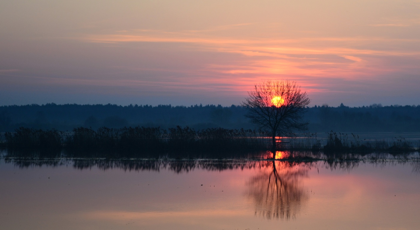 Утро у воды