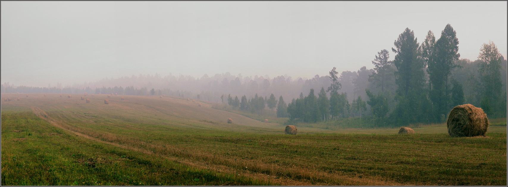 По скошенному полю