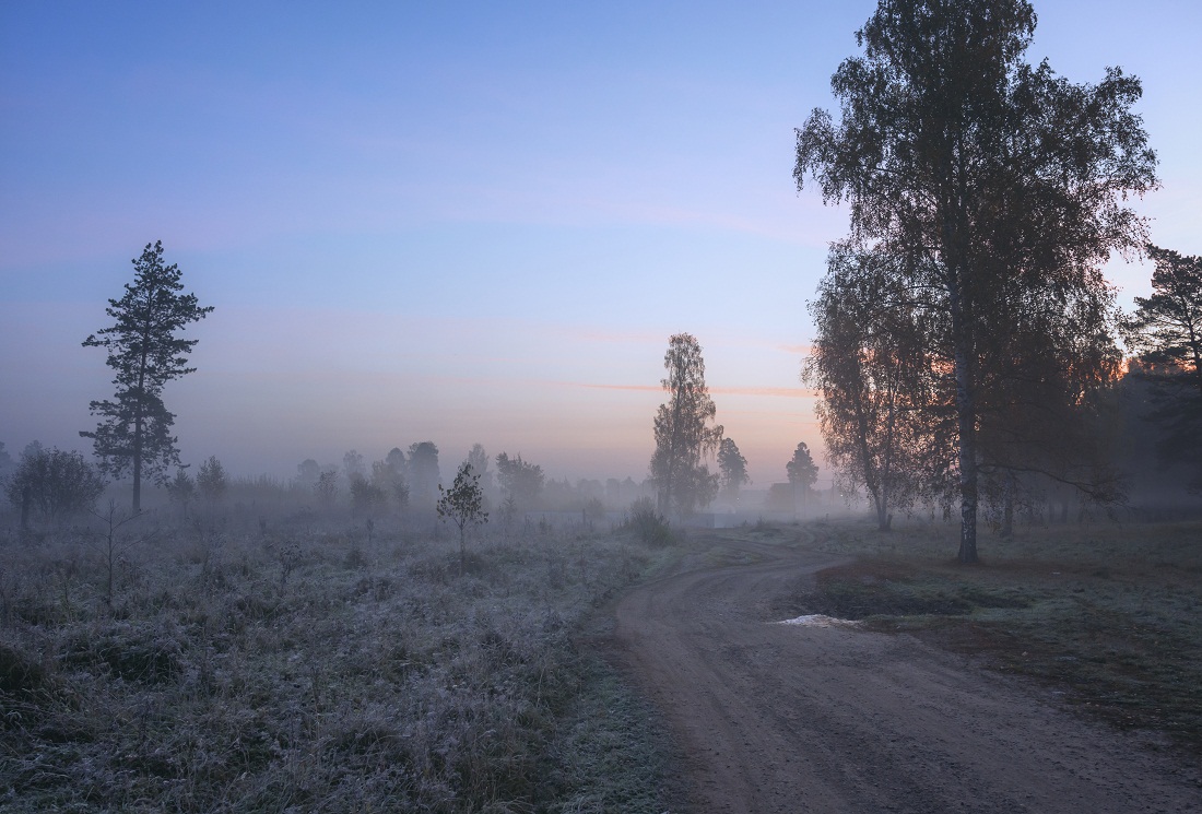 В предрассветной тишине.