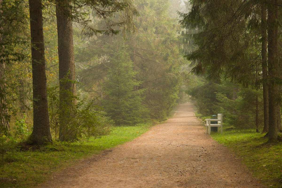 в Михайловское