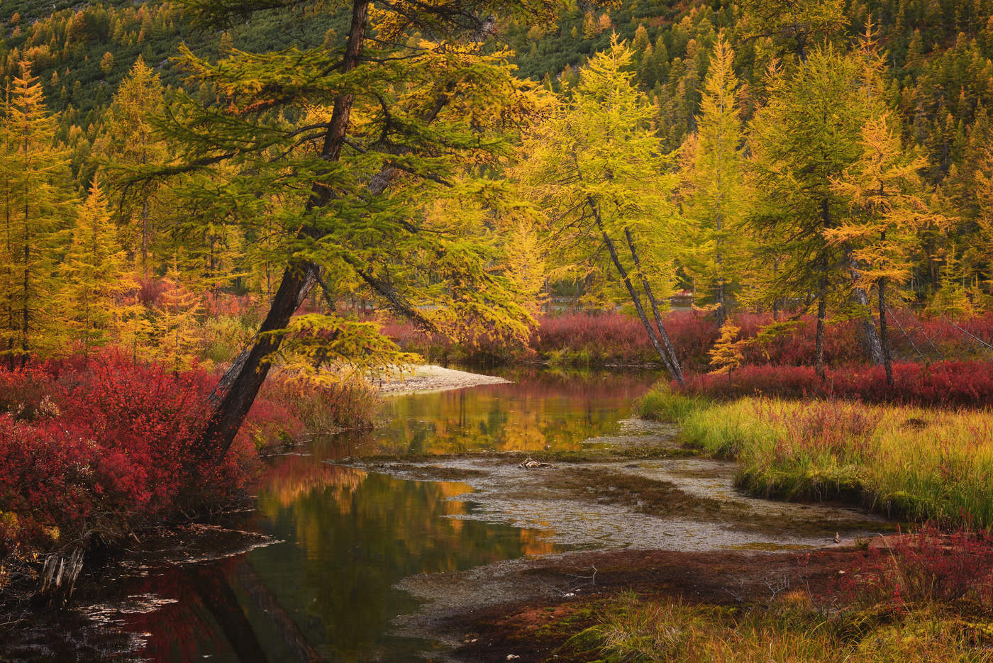 Осень у ручья...