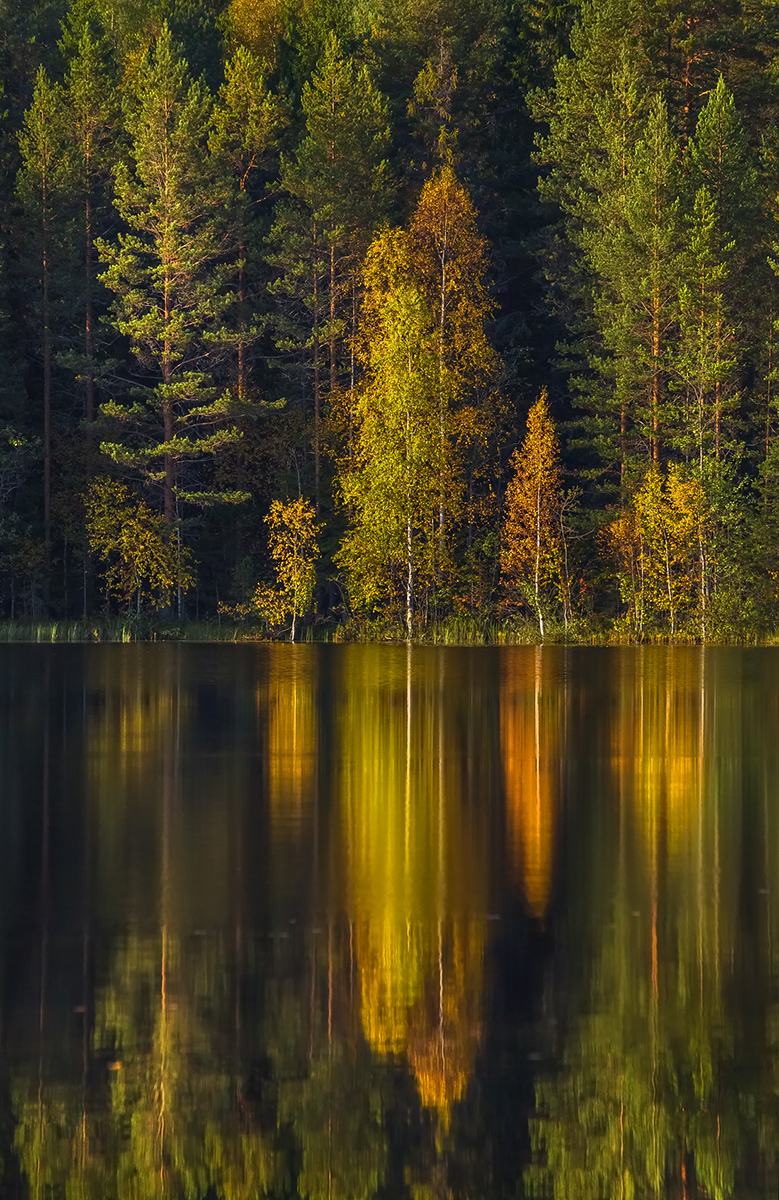 Зеркальная осень