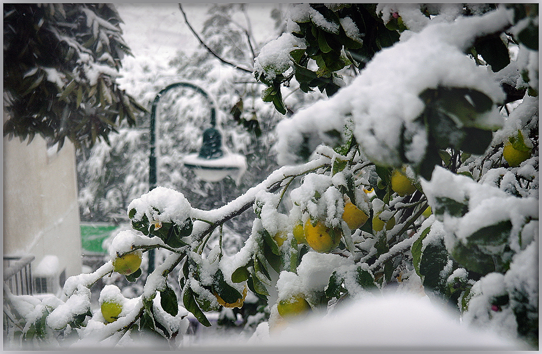 Эскимо "Лимон"