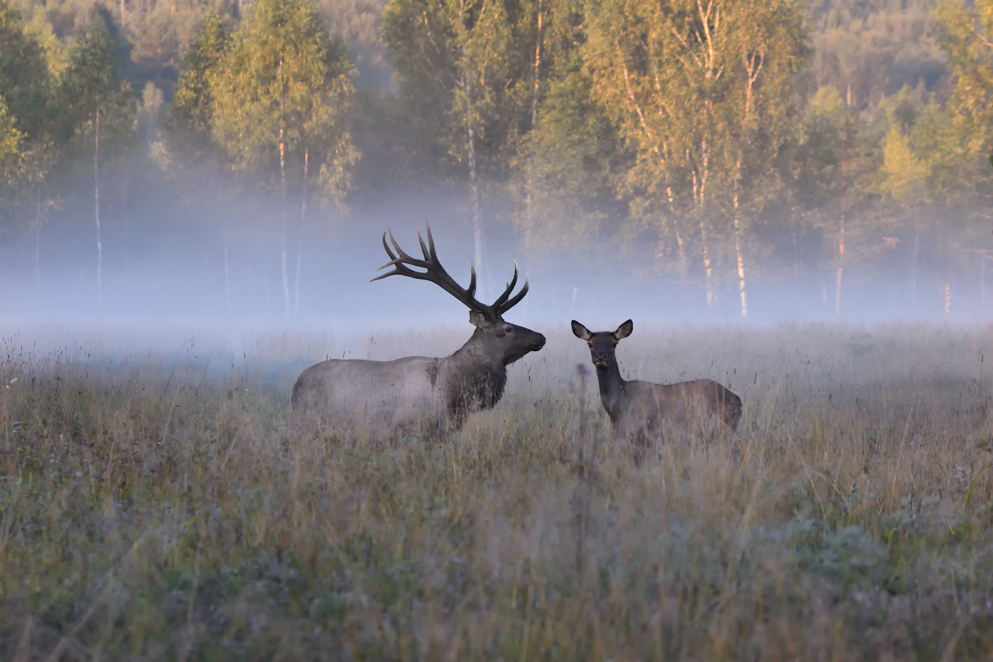 на рассвете