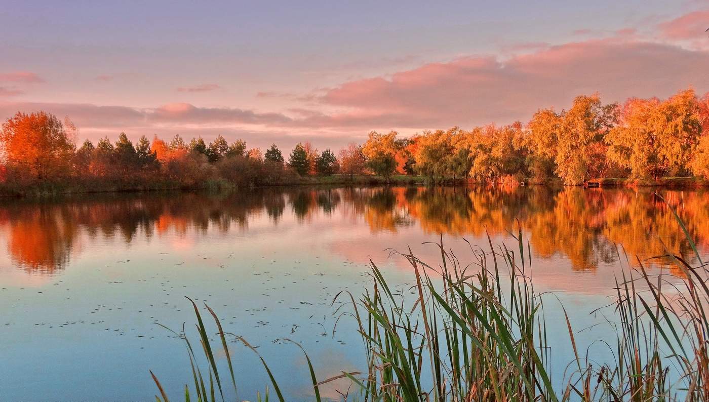 Краски праздничной осени
