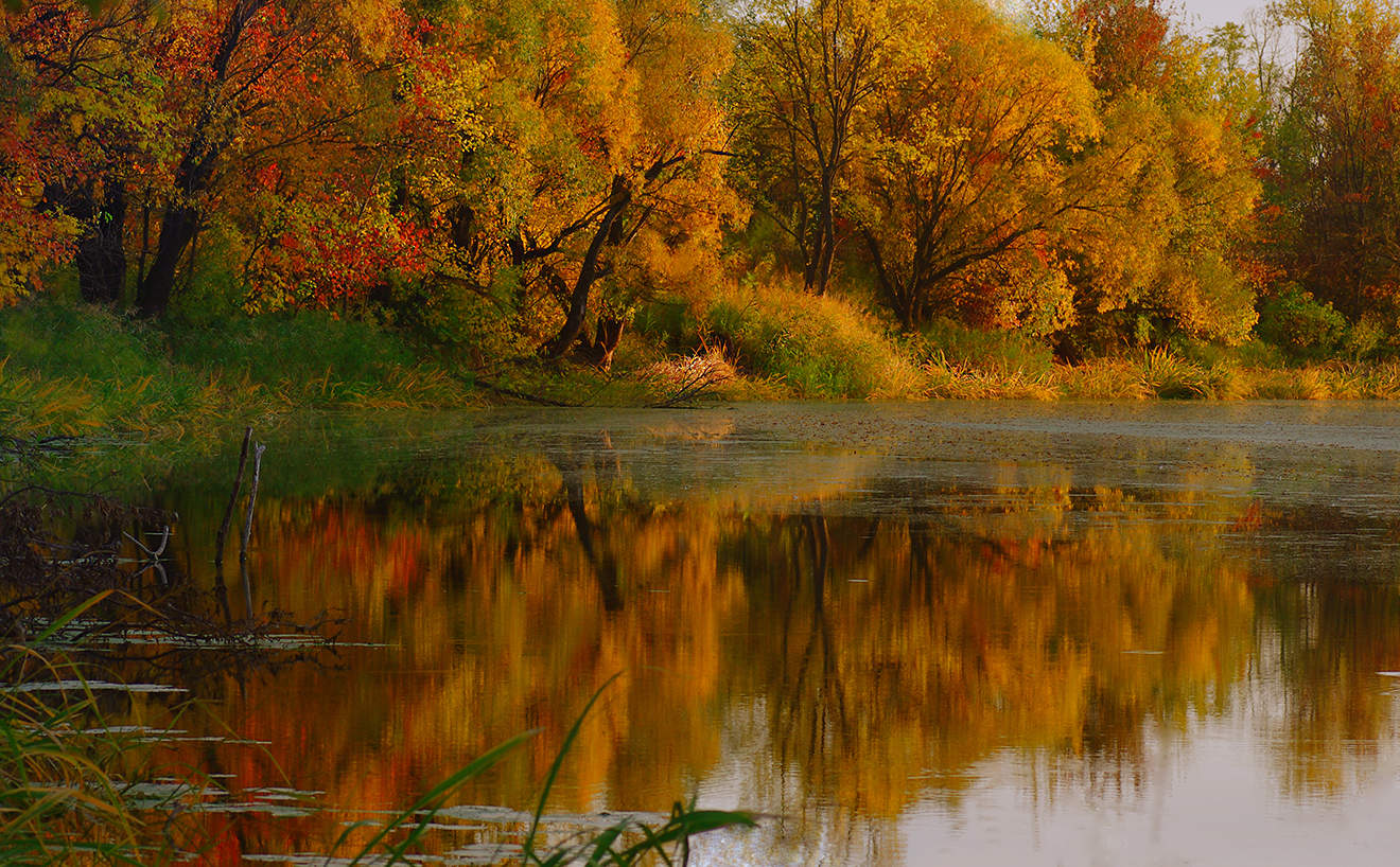 Осень на Айдаре