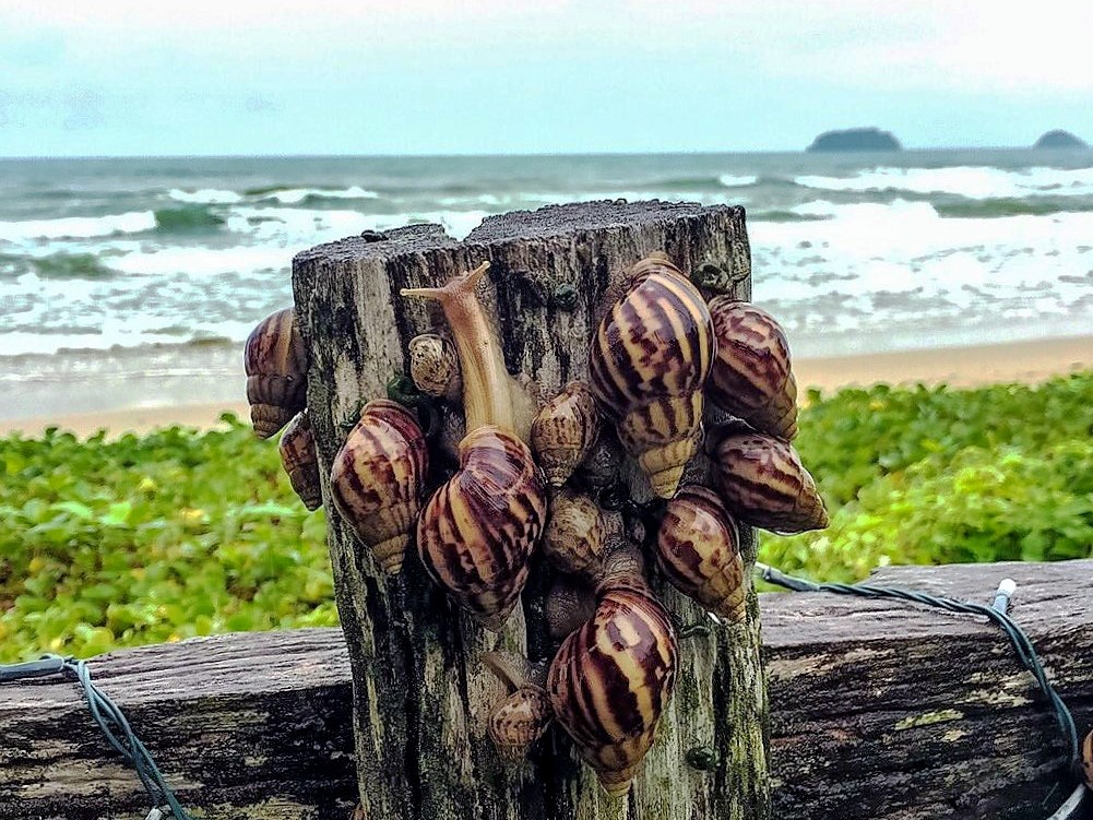 Любопытная.