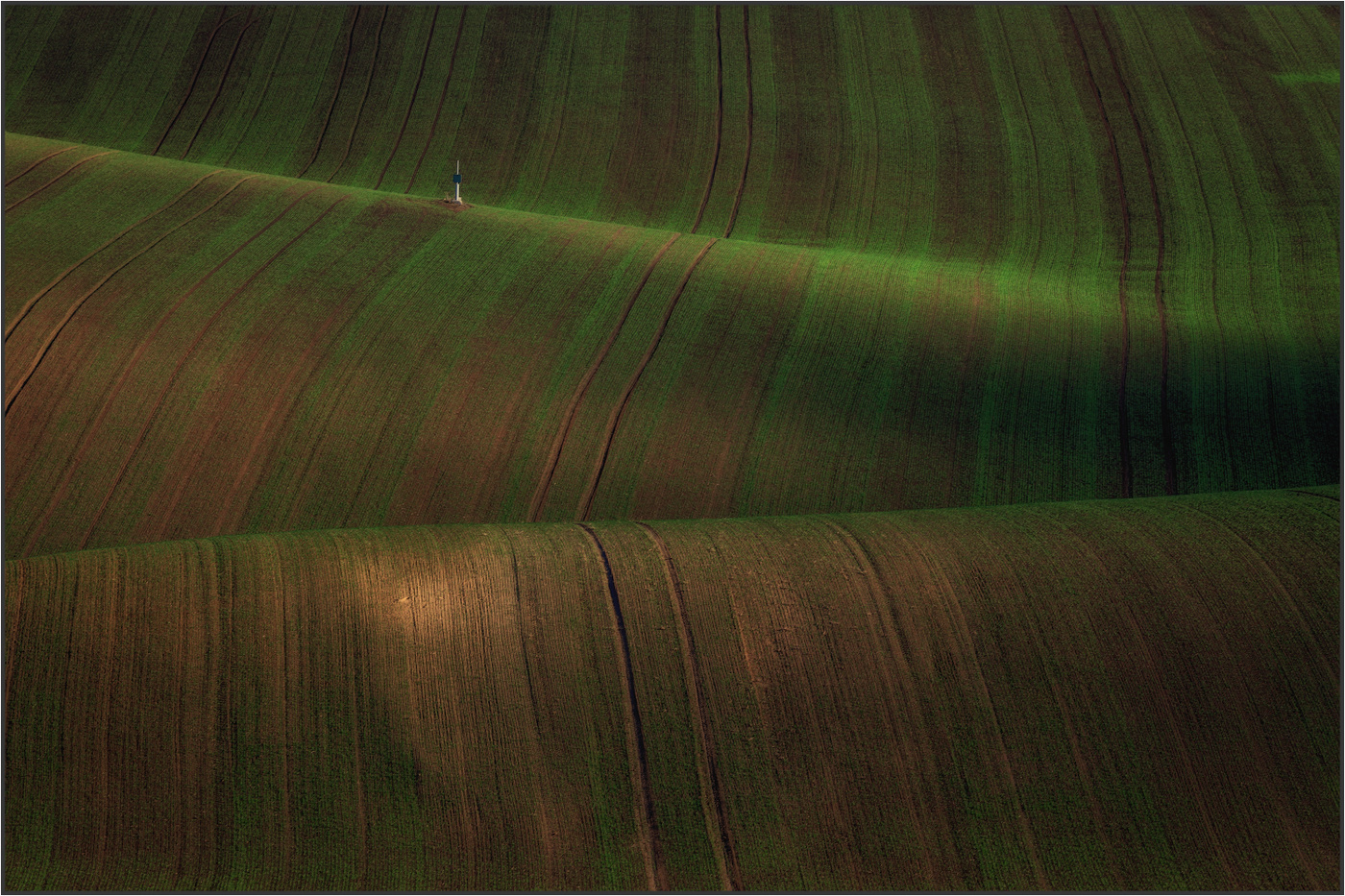 Качается на волнах буй.