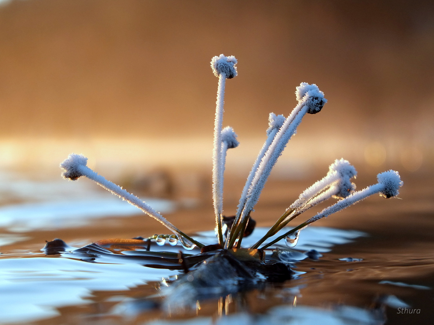 Морозным утром.