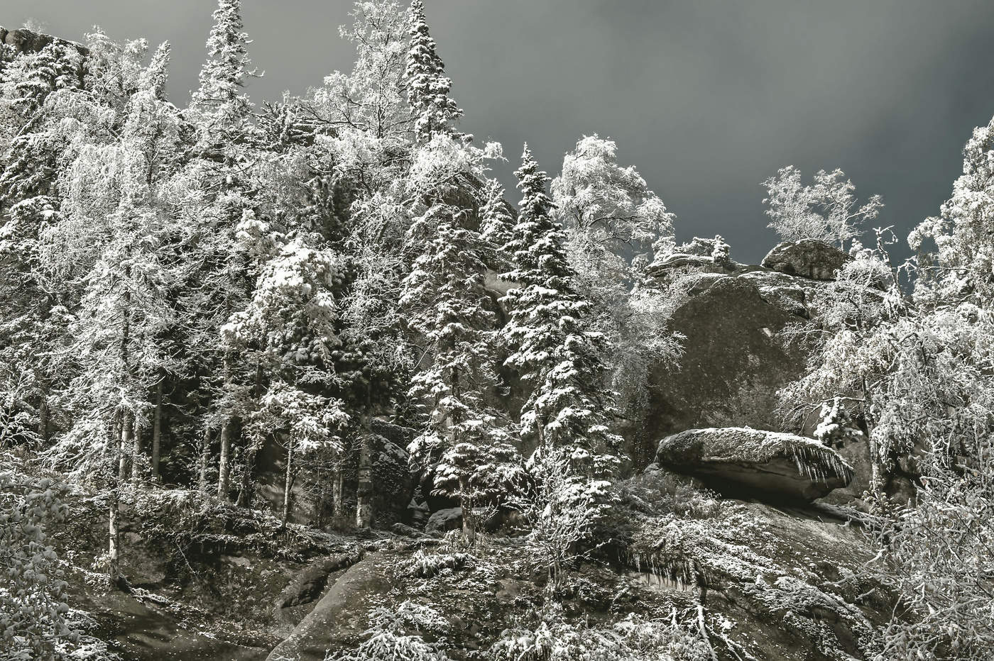 Припорошило...