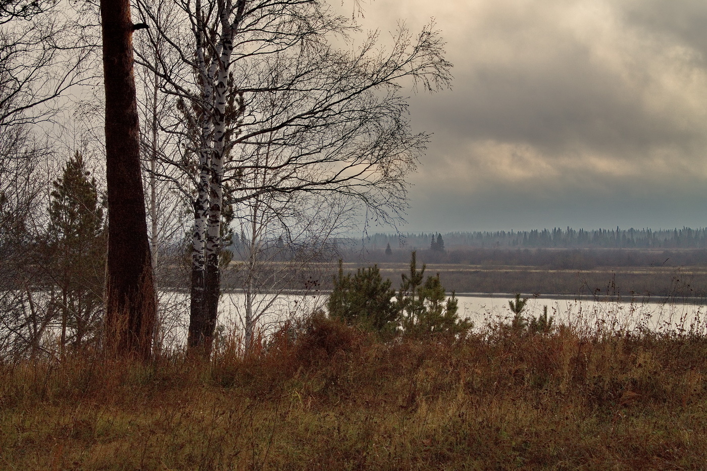 ОСЕННИЙ ДОЖДИК