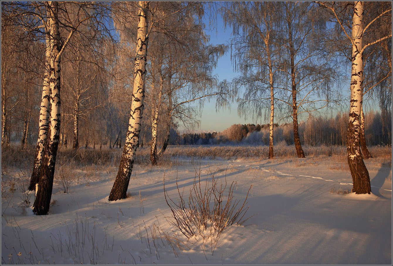 Без названия