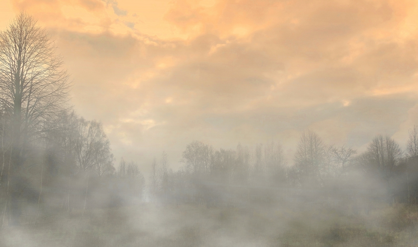 Туманный осенний вечер