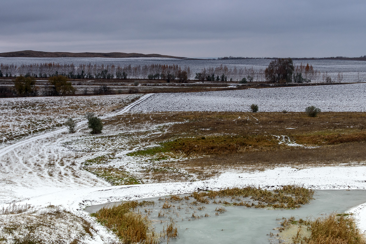 Первый снег...