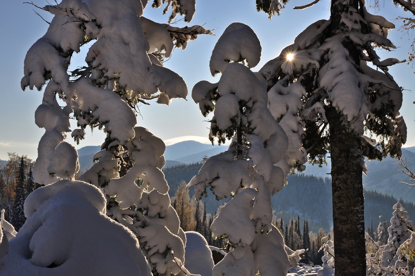 С первым днем зимы